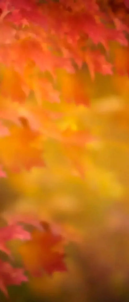 Autumn Dreams 5X12 Ultracloth For Westcott X-Drop ( 60 X 144 Inch ) Backdrop
