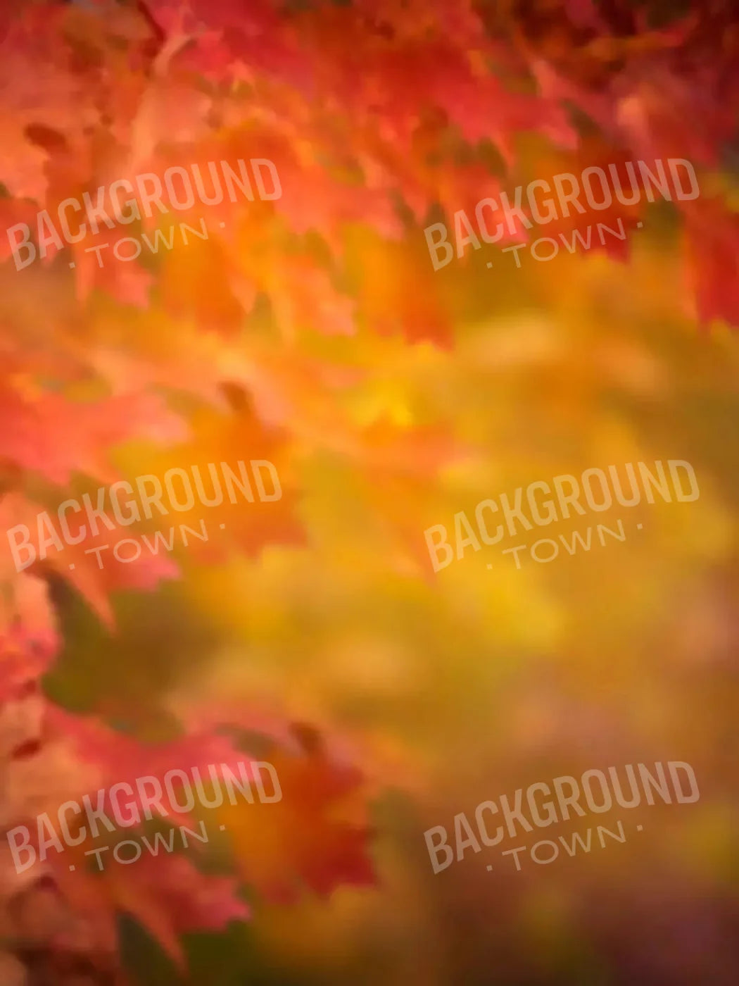 Autumn Dreams 5X68 Fleece ( 60 X 80 Inch ) Backdrop