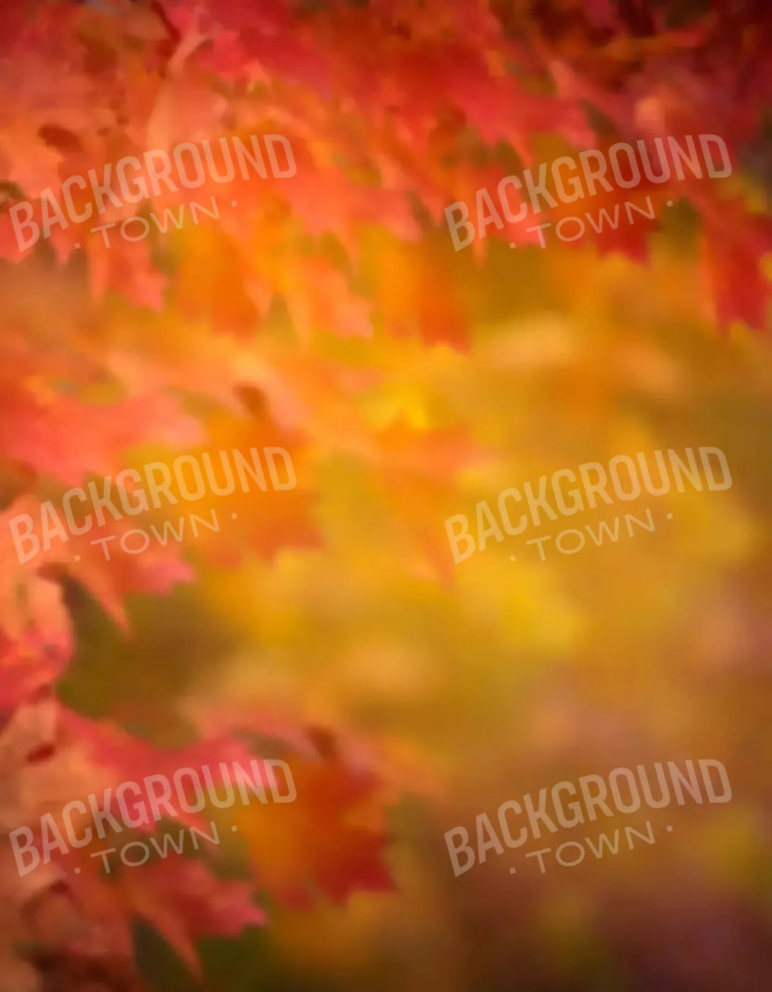 Autumn Dreams 6X8 Fleece ( 72 X 96 Inch ) Backdrop