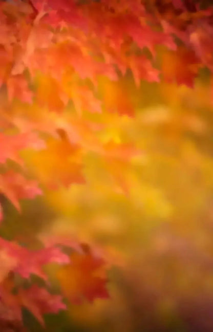 Autumn Dreams 8X12 Ultracloth ( 96 X 144 Inch ) Backdrop