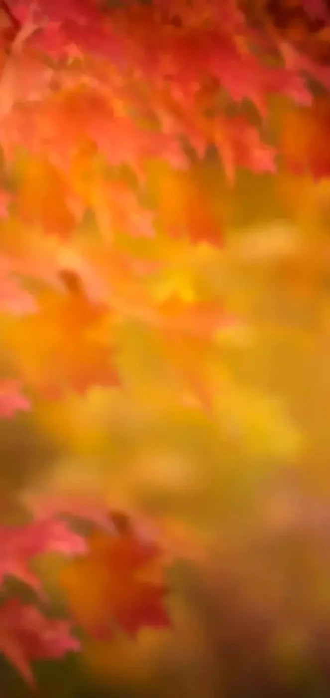 Autumn Dreams 8X16 Ultracloth ( 96 X 192 Inch ) Backdrop