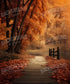 Orange , Brown  Backdrop for Photography