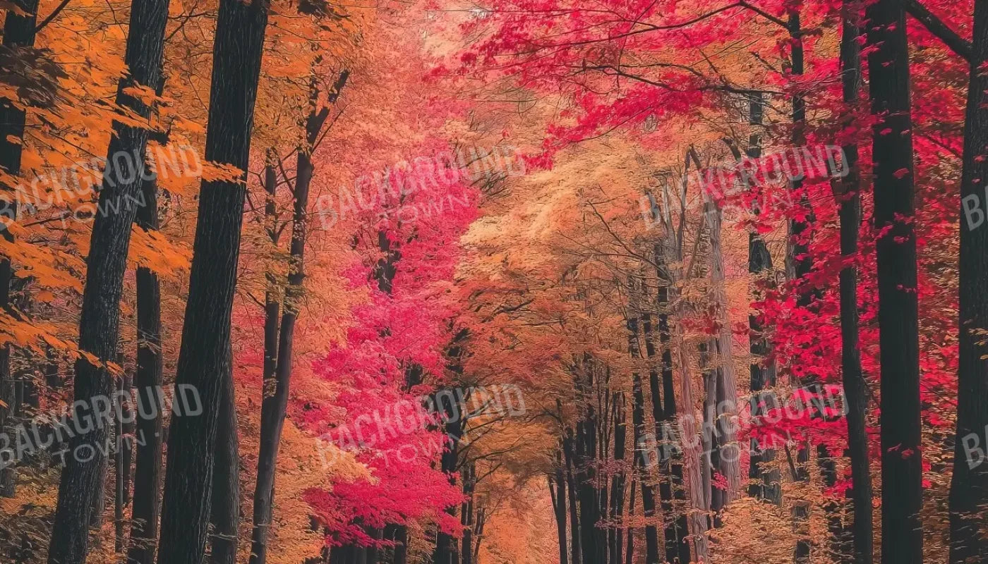Autumn Passage 2 14’x8’ UltraCloth (168 x 96 inch) Backdrop