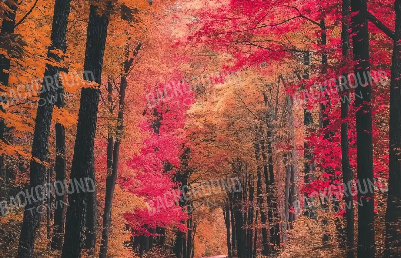 Autumn Passage 2 14’x9’ UltraCloth (168 x 108 inch) Backdrop
