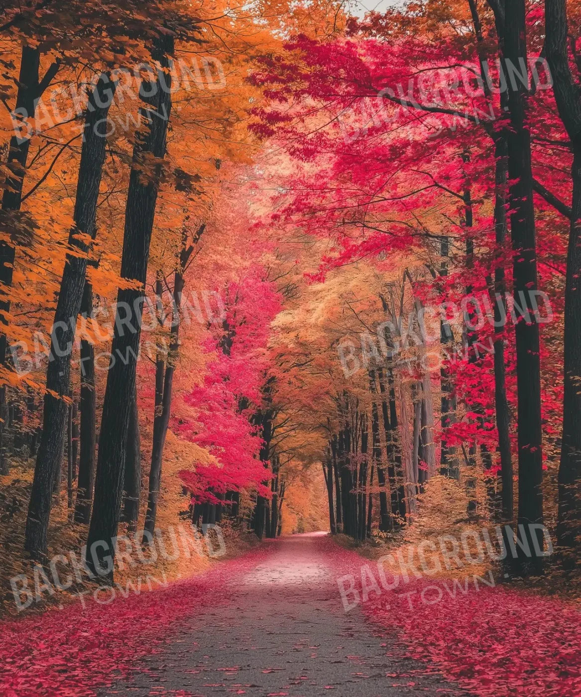 Multi-Color Autumn Backdrop for Photography