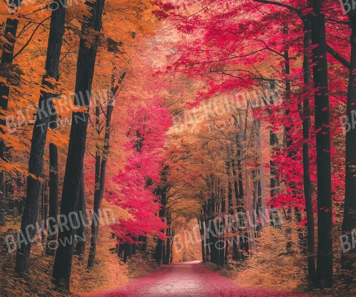 Autumn Passage 2 5’x4’2 Fleece (60 x 50 inch) Backdrop