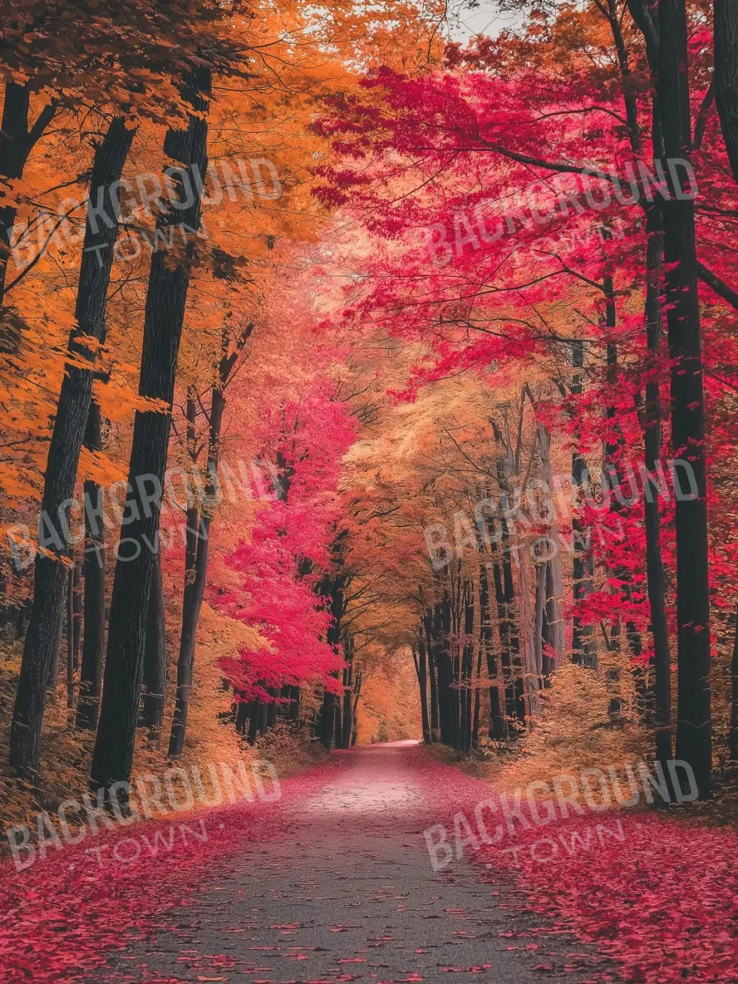 Autumn Passage 2 6’x8’ Fleece (72 x 96 inch) Backdrop