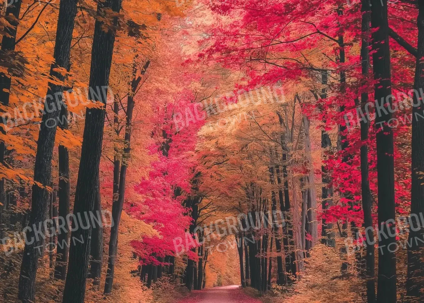Autumn Passage 2 7’x5’ UltraCloth (84 x 60 inch) Backdrop