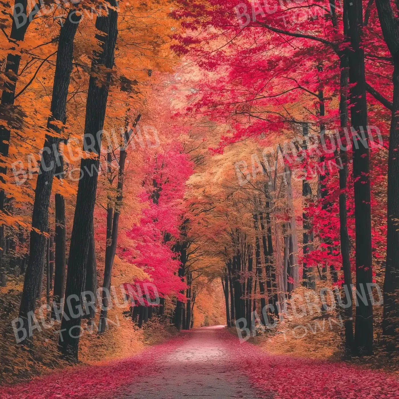 Autumn Passage 2 8’x8’ Fleece (96 x 96 inch) Backdrop