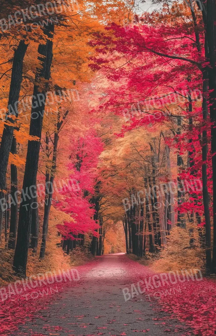 Autumn Passage 2 9’x14’ UltraCloth (108 x 168 inch) Backdrop