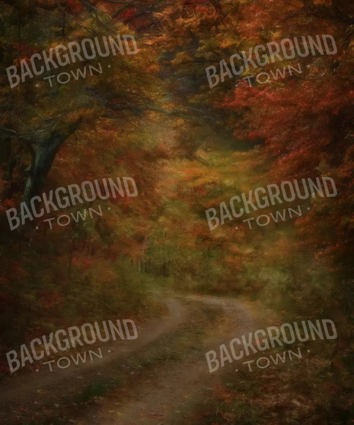 Autumn road through forest Backdrop for Photography