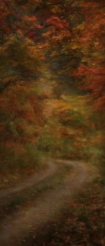 Autumn Road 5X12 Ultracloth For Westcott X-Drop ( 60 X 144 Inch ) Backdrop