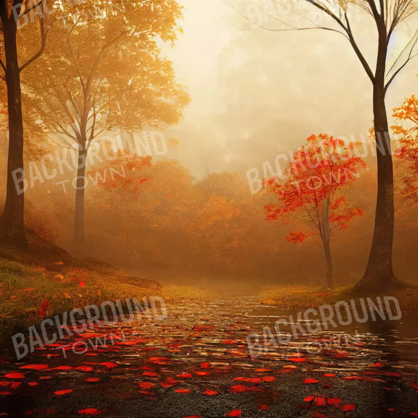 Autumn Sunrise 8X8 Fleece ( 96 X Inch ) Backdrop
