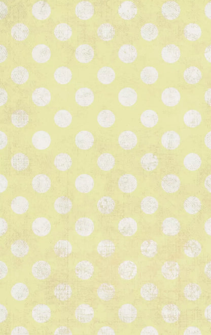 Avalon 10X16 Ultracloth ( 120 X 192 Inch ) Backdrop