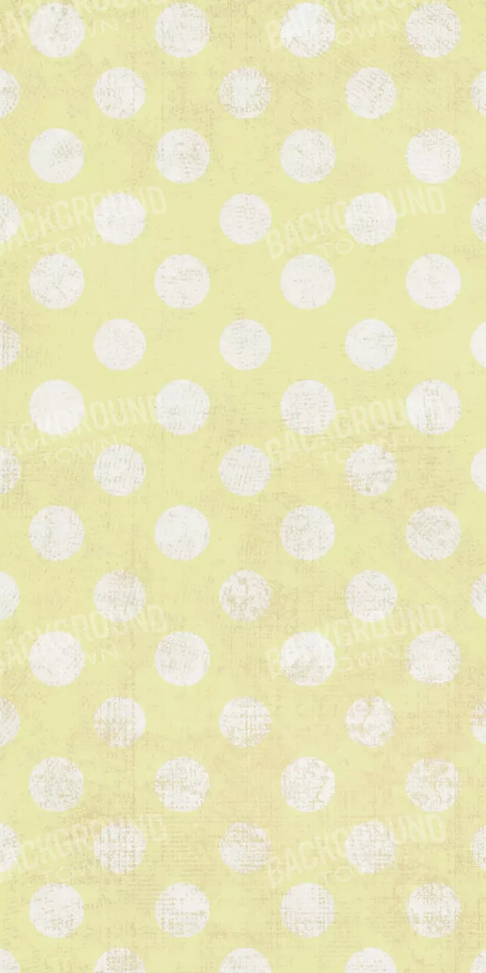 Avalon 10X20 Ultracloth ( 120 X 240 Inch ) Backdrop