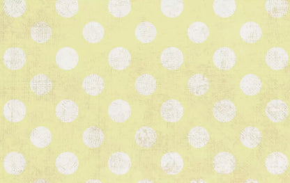 Avalon 16X10 Ultracloth ( 192 X 120 Inch ) Backdrop