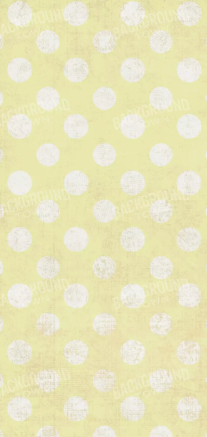 Avalon 8X16 Ultracloth ( 96 X 192 Inch ) Backdrop