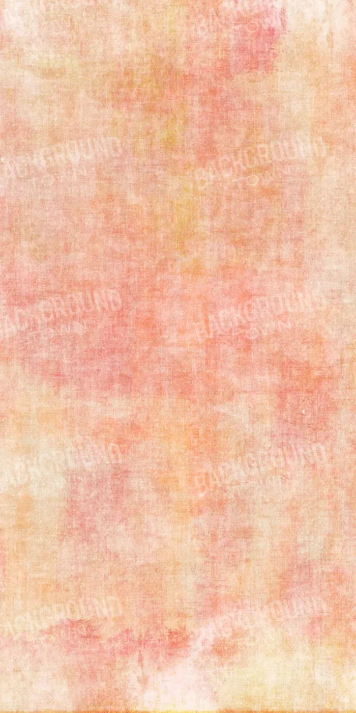 Aviana 10X20 Ultracloth ( 120 X 240 Inch ) Backdrop