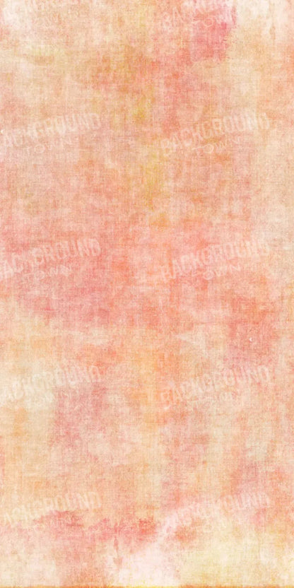 Aviana 10X20 Ultracloth ( 120 X 240 Inch ) Backdrop