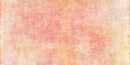 Aviana 20X10 Ultracloth ( 240 X 120 Inch ) Backdrop