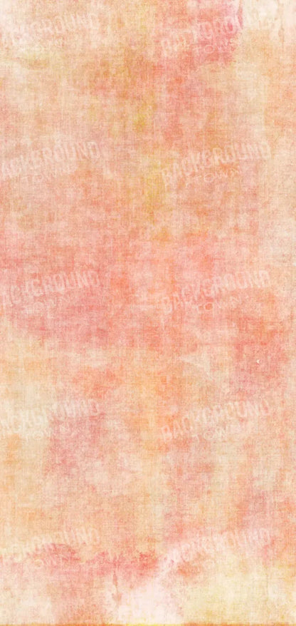 Aviana 8X16 Ultracloth ( 96 X 192 Inch ) Backdrop