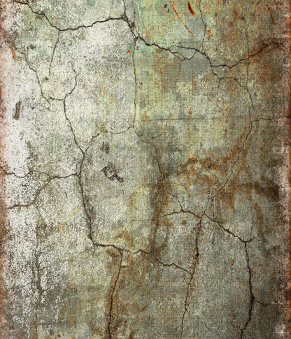 Avoid 10X12 Ultracloth ( 120 X 144 Inch ) Backdrop