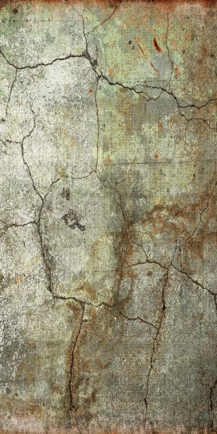 Avoid 10X20 Ultracloth ( 120 X 240 Inch ) Backdrop