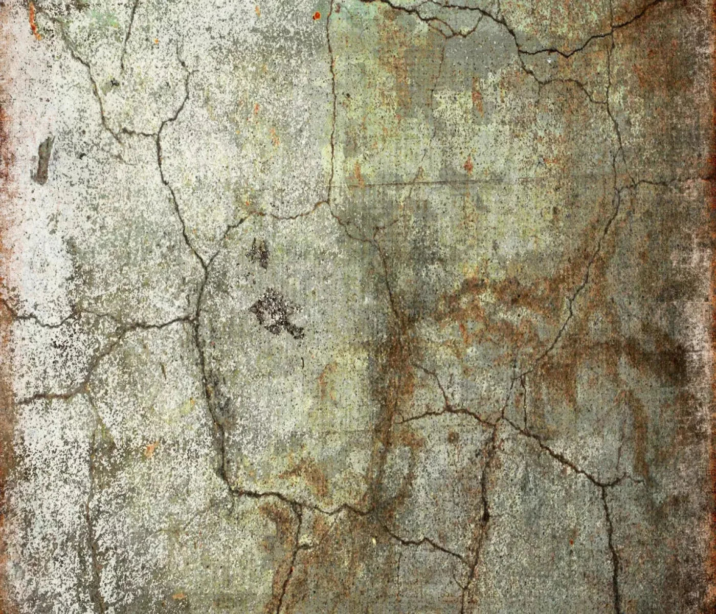 Avoid 12X10 Ultracloth ( 144 X 120 Inch ) Backdrop
