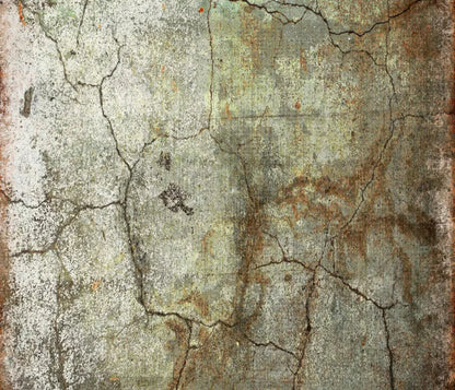 Avoid 12X10 Ultracloth ( 144 X 120 Inch ) Backdrop