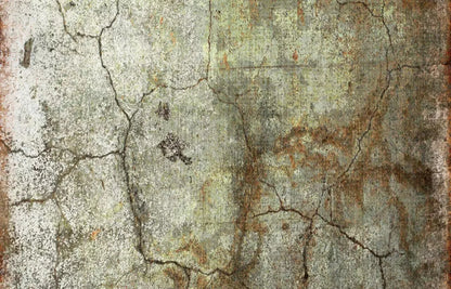 Avoid 12X8 Ultracloth ( 144 X 96 Inch ) Backdrop