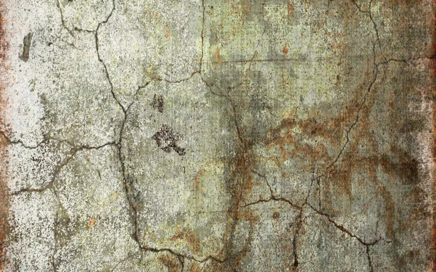 Avoid 14X9 Ultracloth ( 168 X 108 Inch ) Backdrop