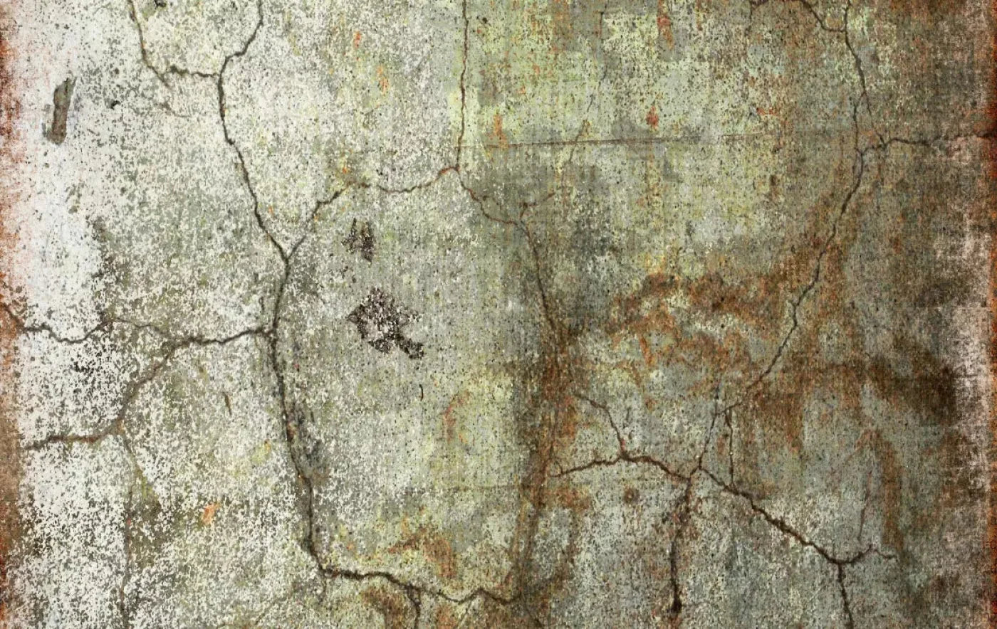 Avoid 16X10 Ultracloth ( 192 X 120 Inch ) Backdrop