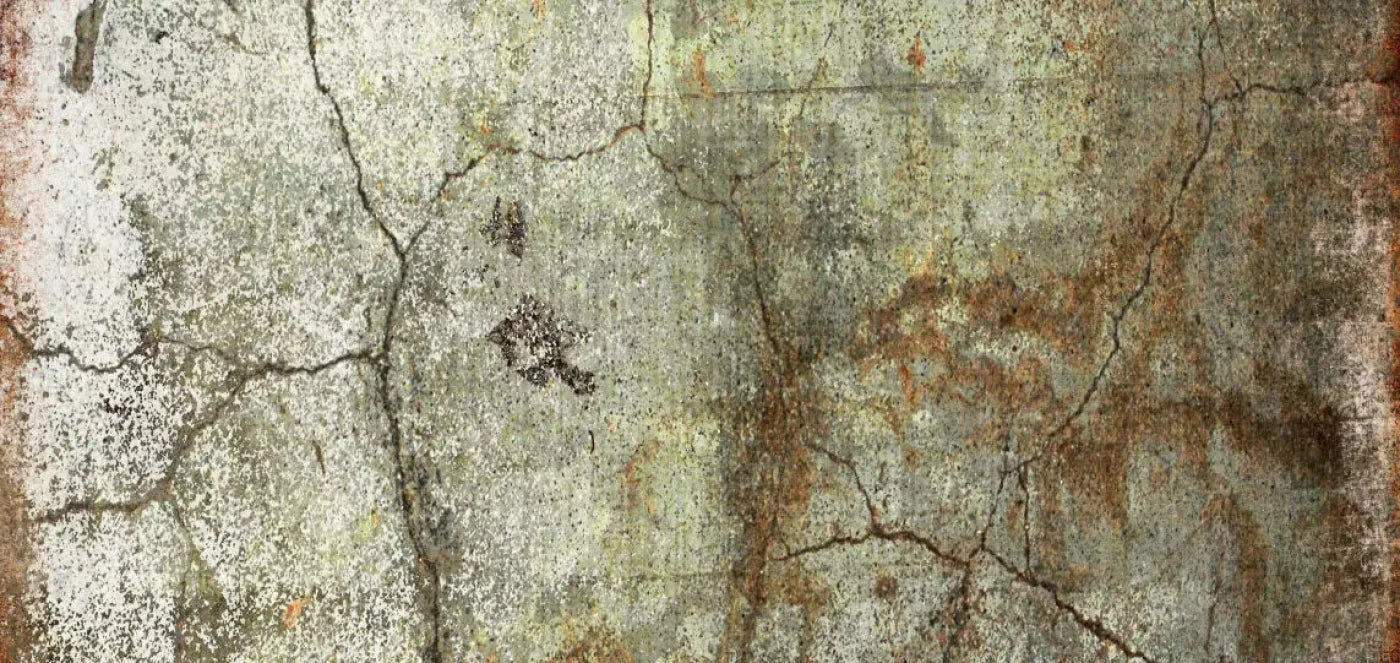 Avoid 16X8 Ultracloth ( 192 X 96 Inch ) Backdrop