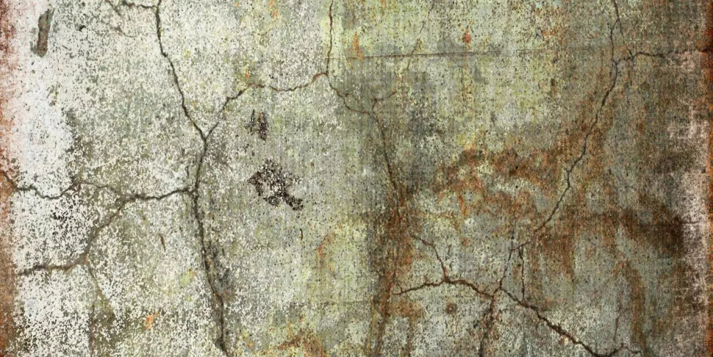 Avoid 20X10 Ultracloth ( 240 X 120 Inch ) Backdrop