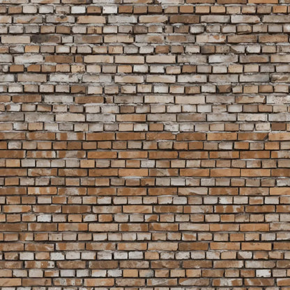 Backstreet 10X10 Ultracloth ( 120 X Inch ) Backdrop