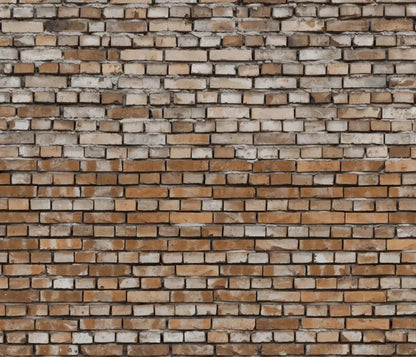 Backstreet 12X10 Ultracloth ( 144 X 120 Inch ) Backdrop