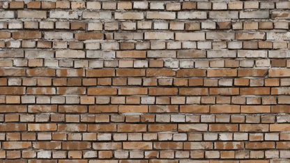 Backstreet 14X8 Ultracloth ( 168 X 96 Inch ) Backdrop