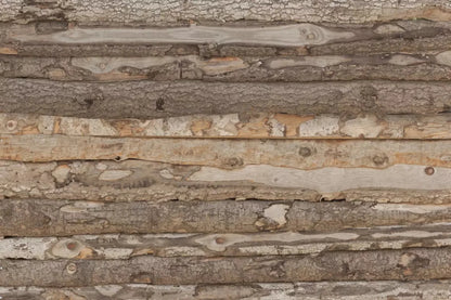 Backwoods 5X4 Rubbermat Floor ( 60 X 48 Inch ) Backdrop