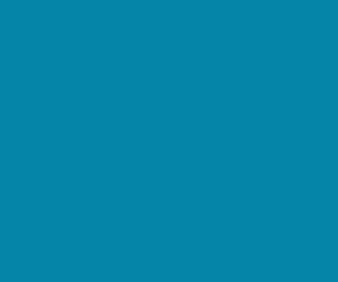 Bahama 5X42 Fleece ( 60 X 50 Inch ) Backdrop