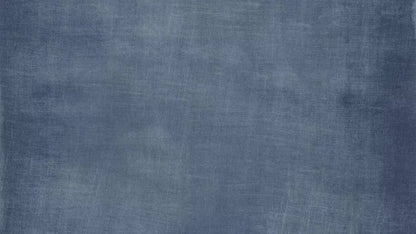 Baloo 14X8 Ultracloth ( 168 X 96 Inch ) Backdrop