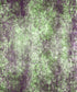 Green Textured Backdrop for Photography
