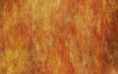 Barcelona 14X9 Ultracloth ( 168 X 108 Inch ) Backdrop