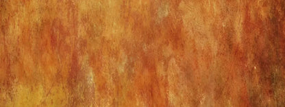 Barcelona 20X8 Ultracloth ( 240 X 96 Inch ) Backdrop