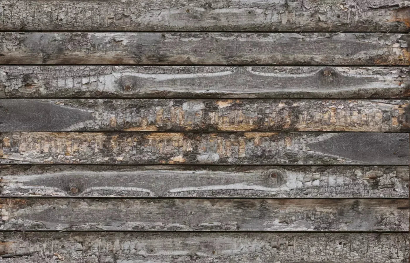 Barker 12X8 Ultracloth ( 144 X 96 Inch ) Backdrop