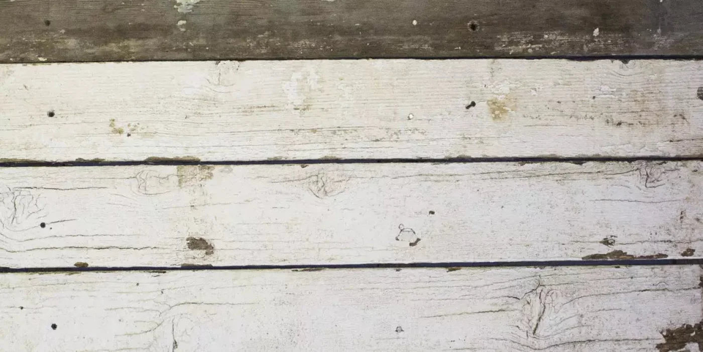Barnwood 20X10 Ultracloth ( 240 X 120 Inch ) Backdrop