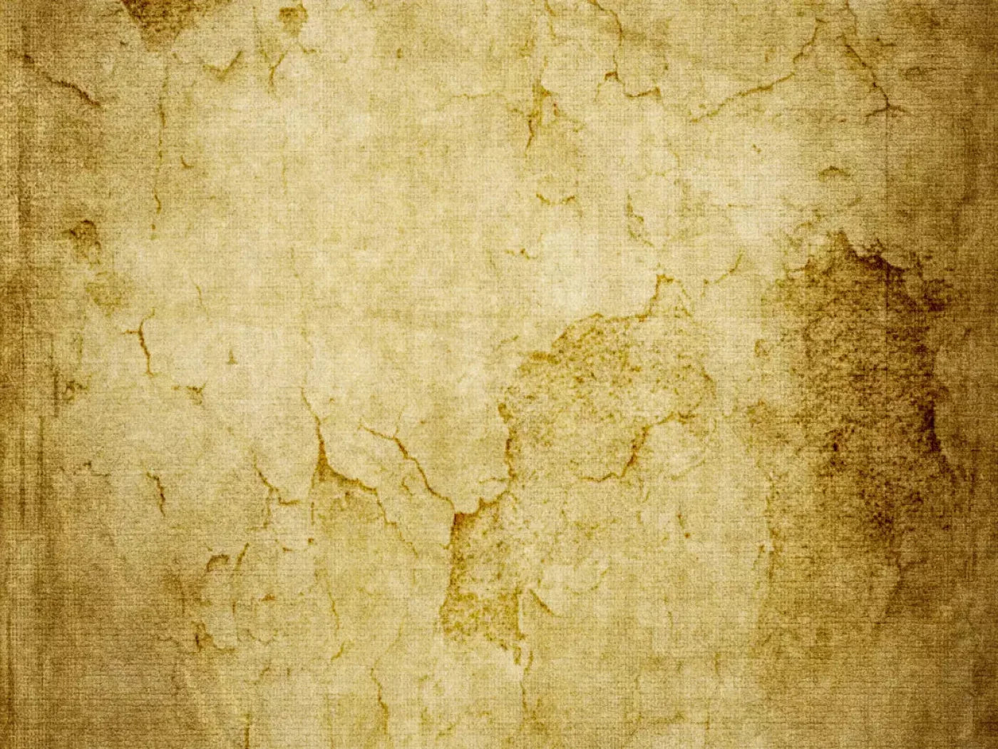 Barrier 10X8 Fleece ( 120 X 96 Inch ) Backdrop