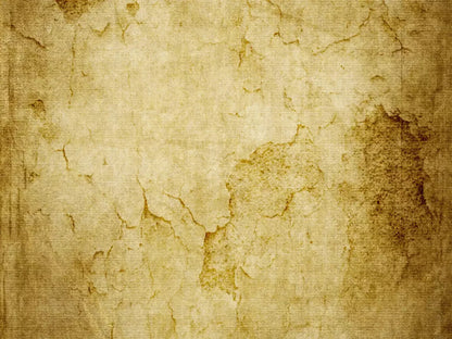 Barrier 10X8 Fleece ( 120 X 96 Inch ) Backdrop