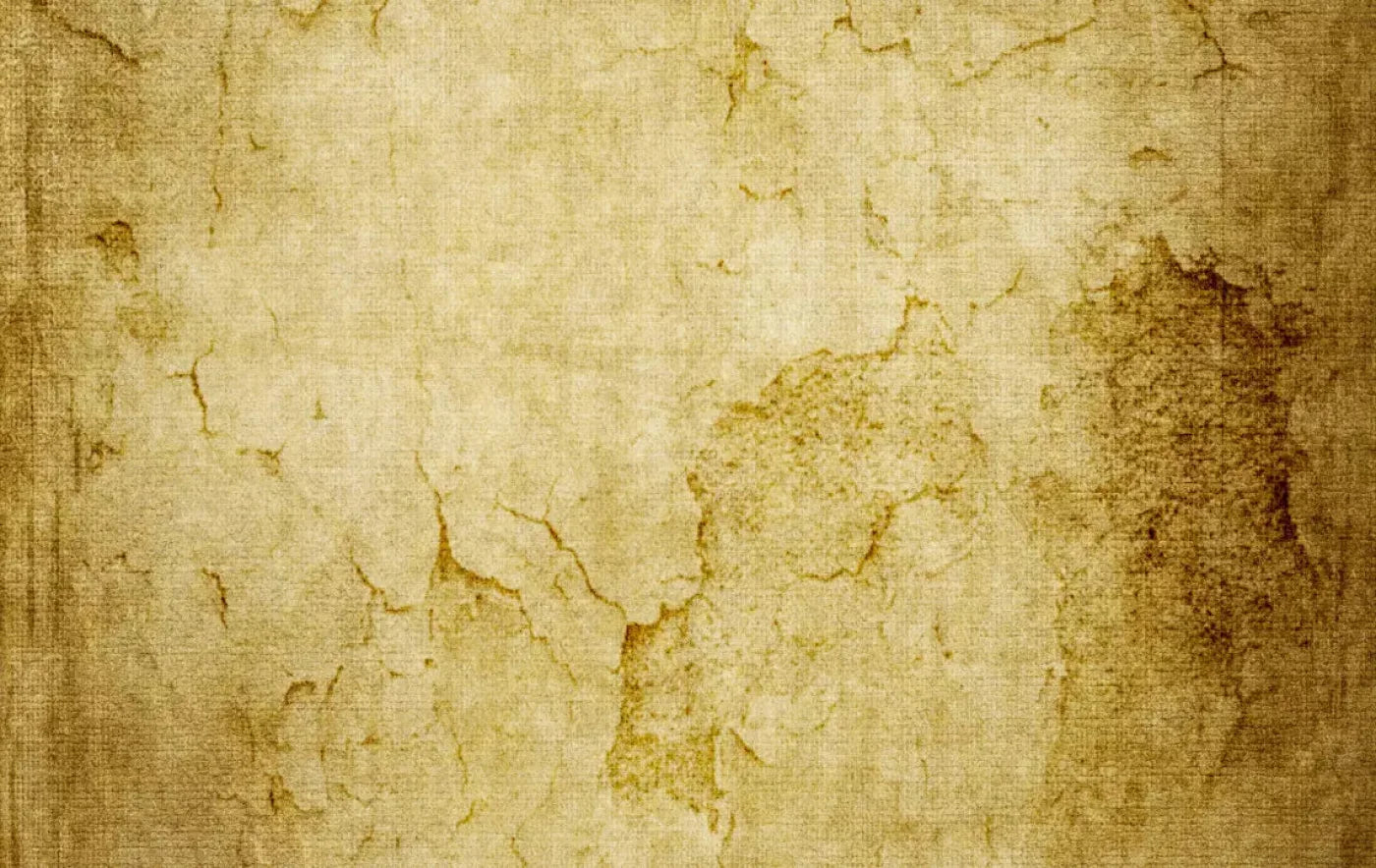 Barrier 16X10 Ultracloth ( 192 X 120 Inch ) Backdrop