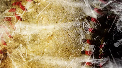 Baseball Grunge 14X8 Ultracloth ( 168 X 96 Inch ) Backdrop
