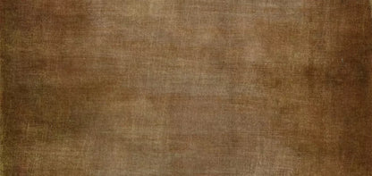 Bayside 16X8 Ultracloth ( 192 X 96 Inch ) Backdrop
